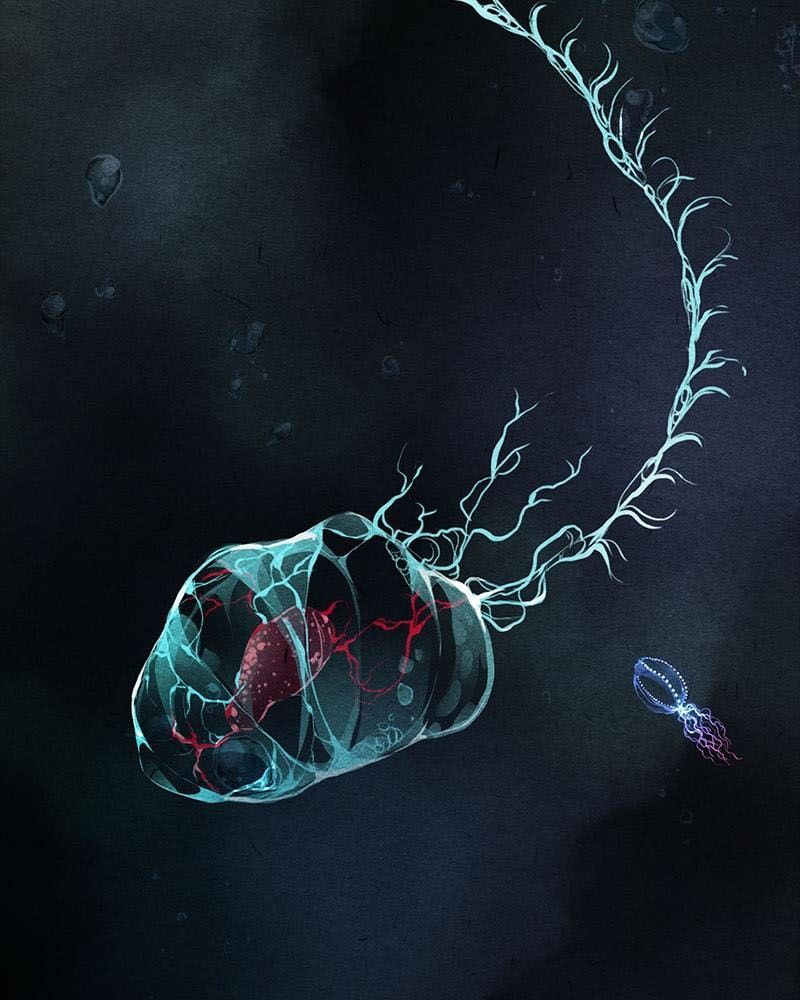 Học Viện Nevermore Chapter 17 - 81