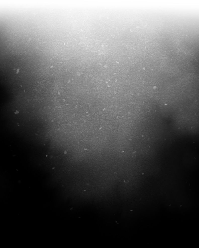 Học Viện Nevermore Chapter 23 - 2