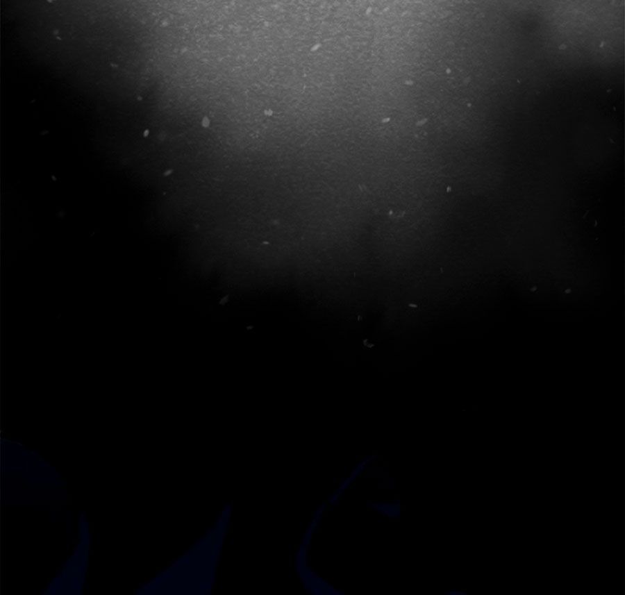 Học Viện Nevermore Chapter 24 - 12