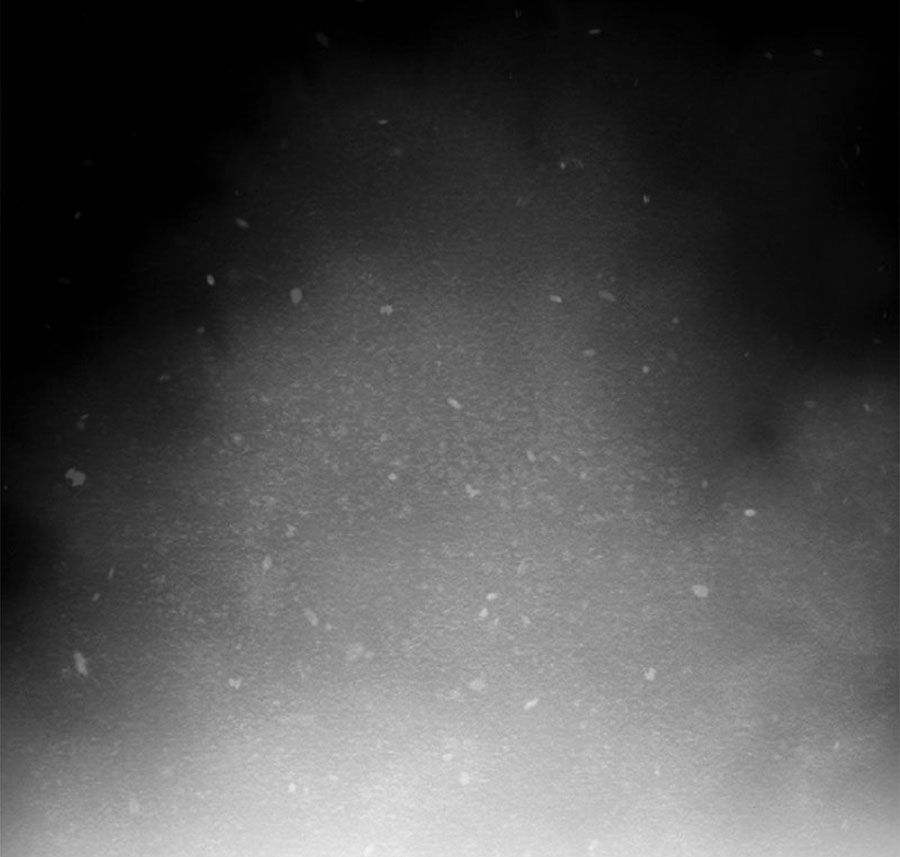 Học Viện Nevermore Chapter 24 - 9