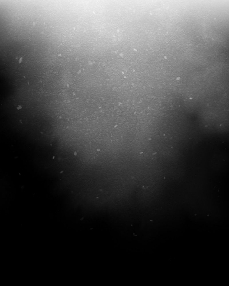 Học Viện Nevermore Chapter 34 - 2