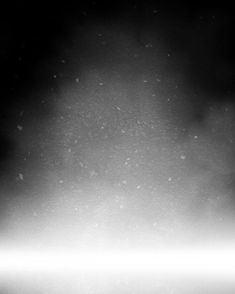 Học Viện Nevermore Chapter 42 - 4