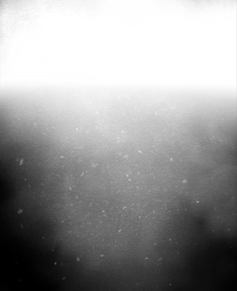 Học Viện Nevermore Chapter 44 - 4