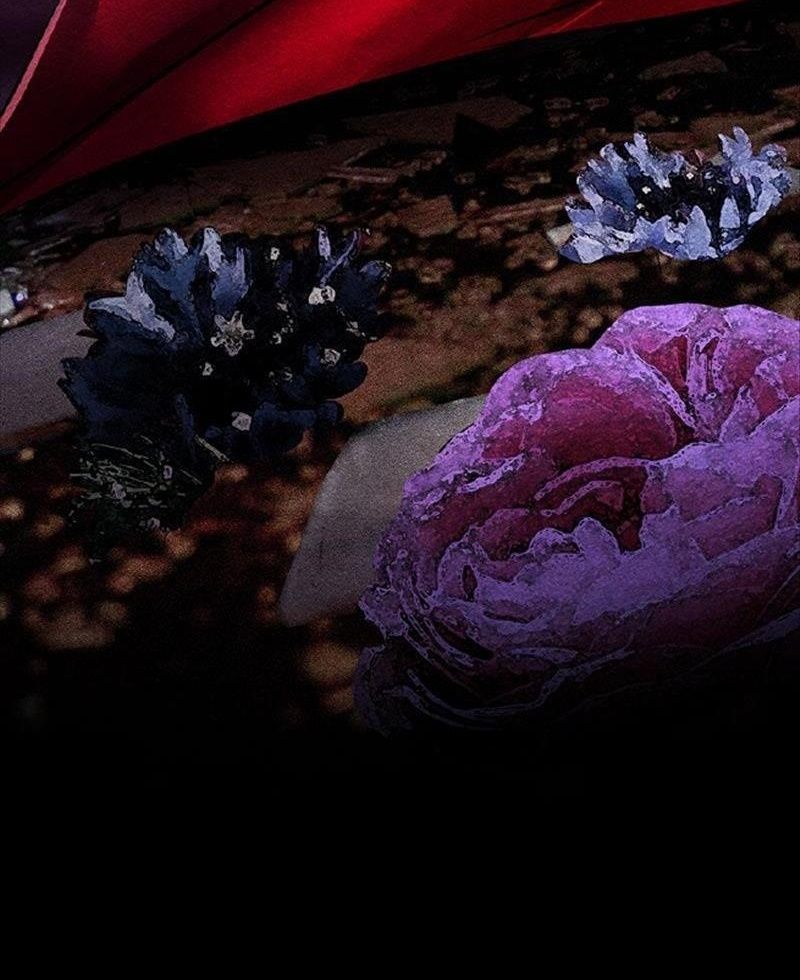 Học Viện Nevermore Chapter 44 - 35