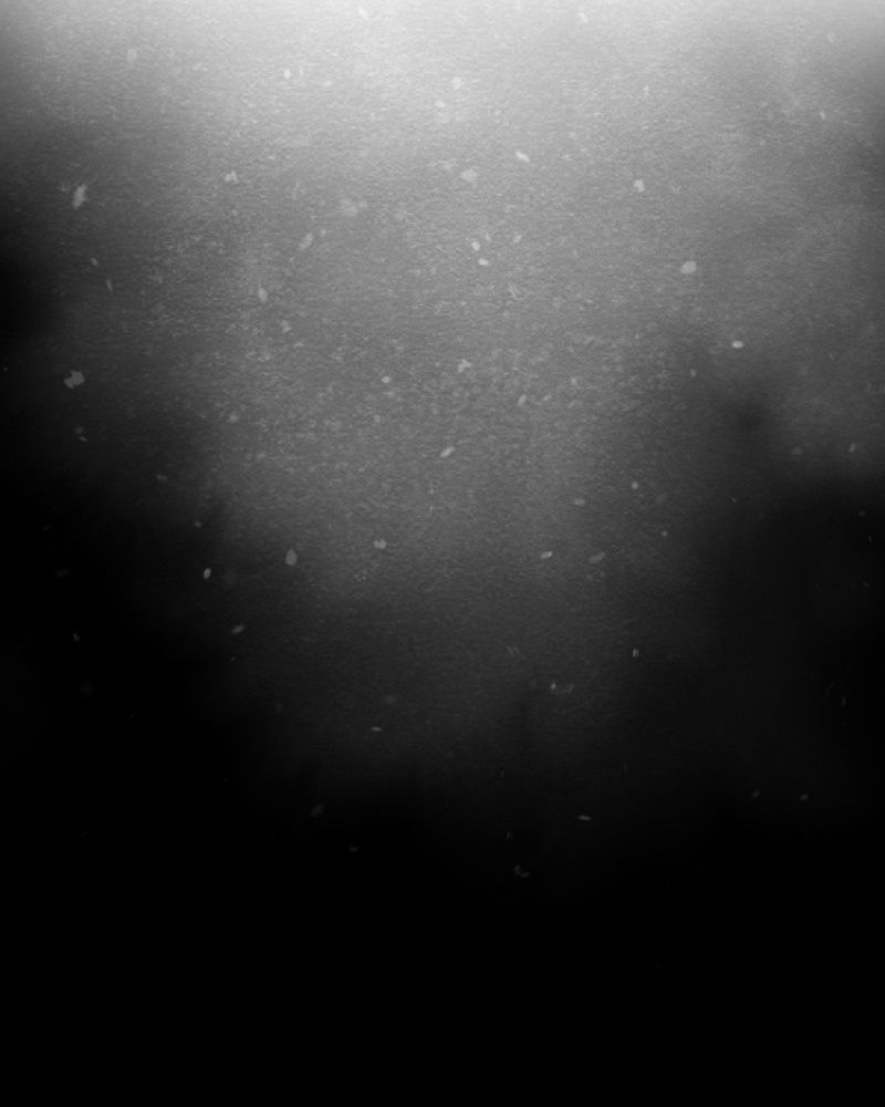 Học Viện Nevermore Chapter 60 - 8