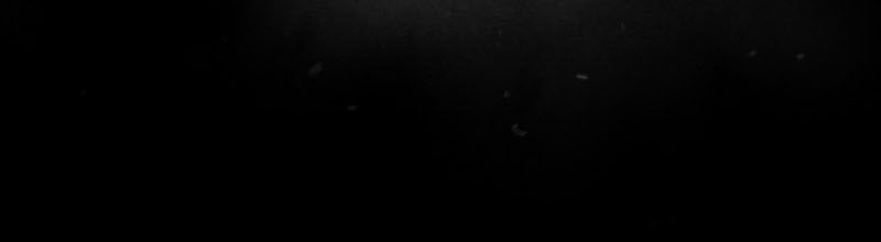 Học Viện Nevermore Chapter 64 - 8