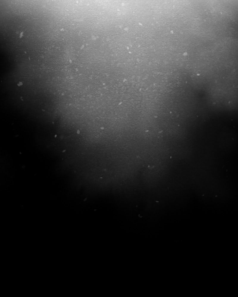 Học Viện Nevermore Chapter 71 - 5