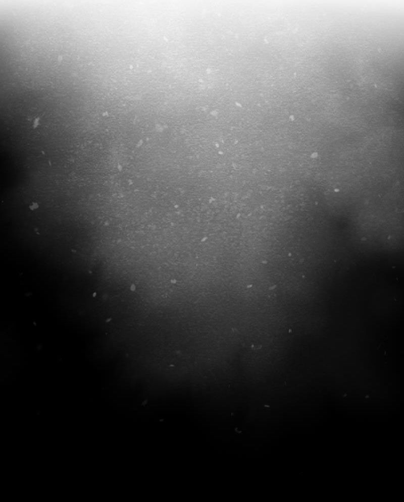 Học Viện Nevermore Chapter 77 - 2