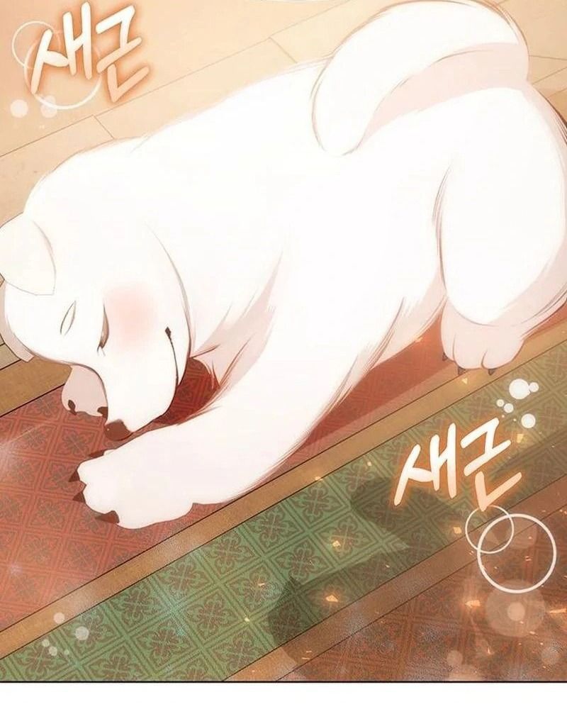 Nhóc Con Này Mơ Làm Trùm Phản Diện Chapter 36 - 37