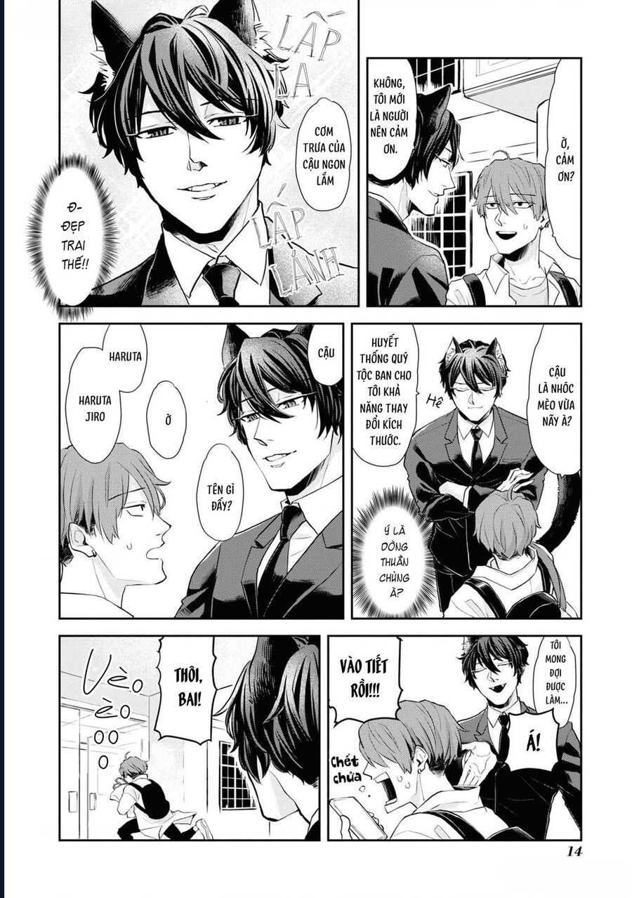 Anh Mèo Đẹp Trai Muốn Được Bạn Bao Nuôi Chapter 1 - 13