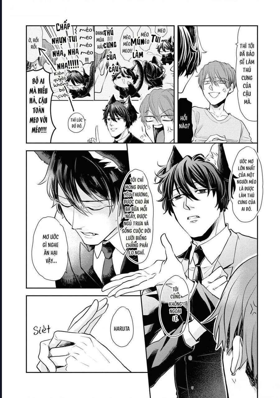 Anh Mèo Đẹp Trai Muốn Được Bạn Bao Nuôi Chapter 1 - 19