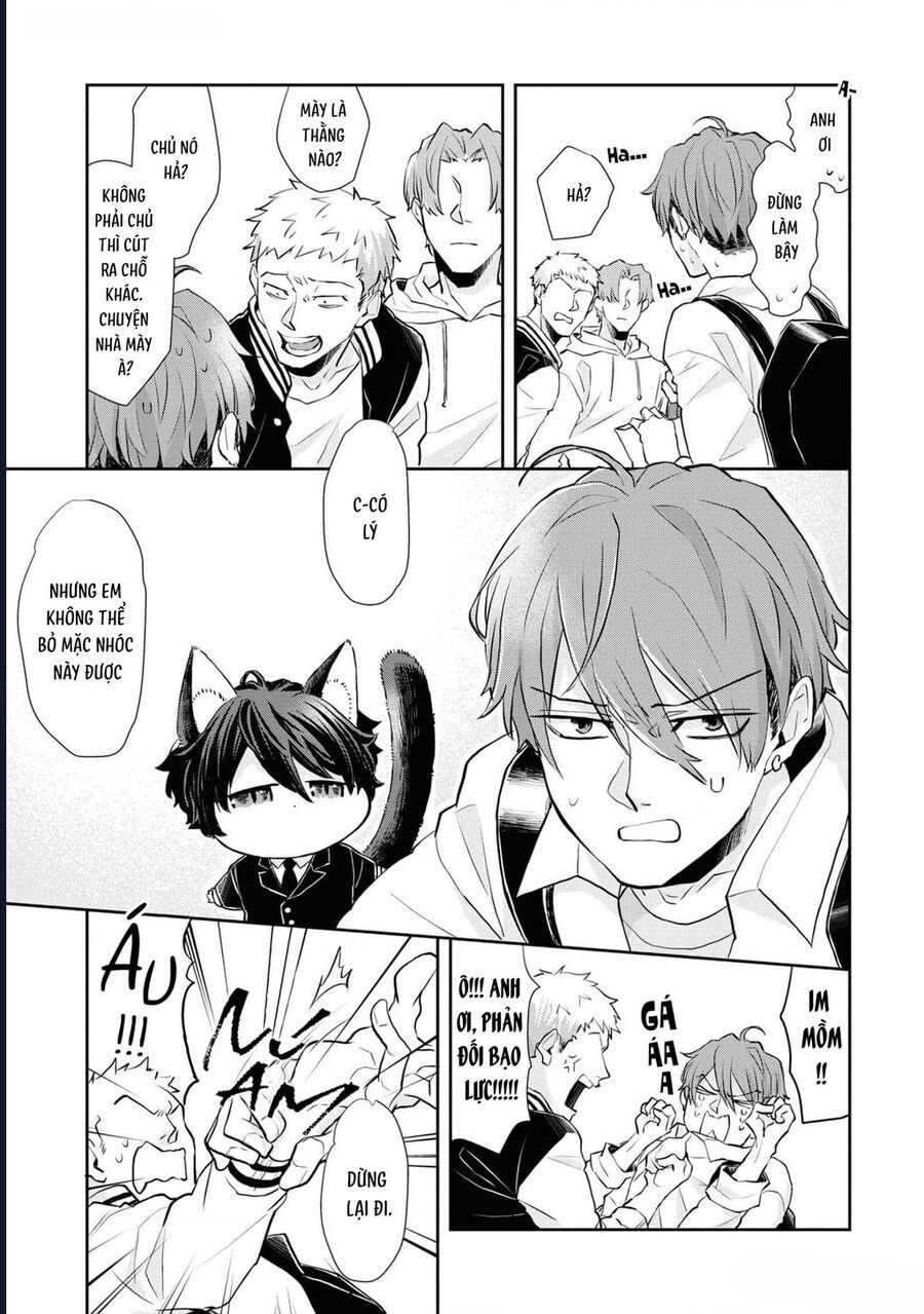 Anh Mèo Đẹp Trai Muốn Được Bạn Bao Nuôi Chapter 1 - 10