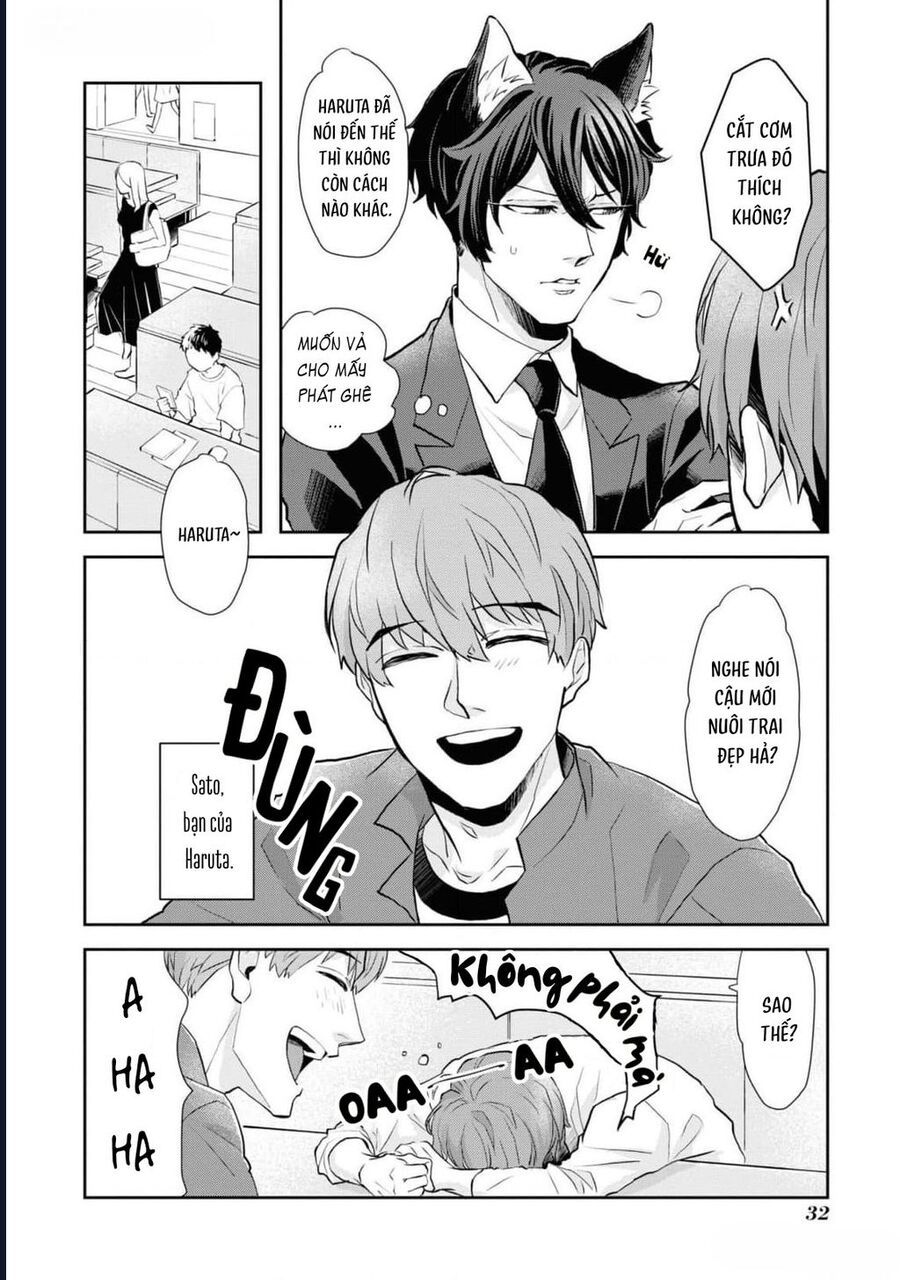 Anh Mèo Đẹp Trai Muốn Được Bạn Bao Nuôi Chapter 2 - 12