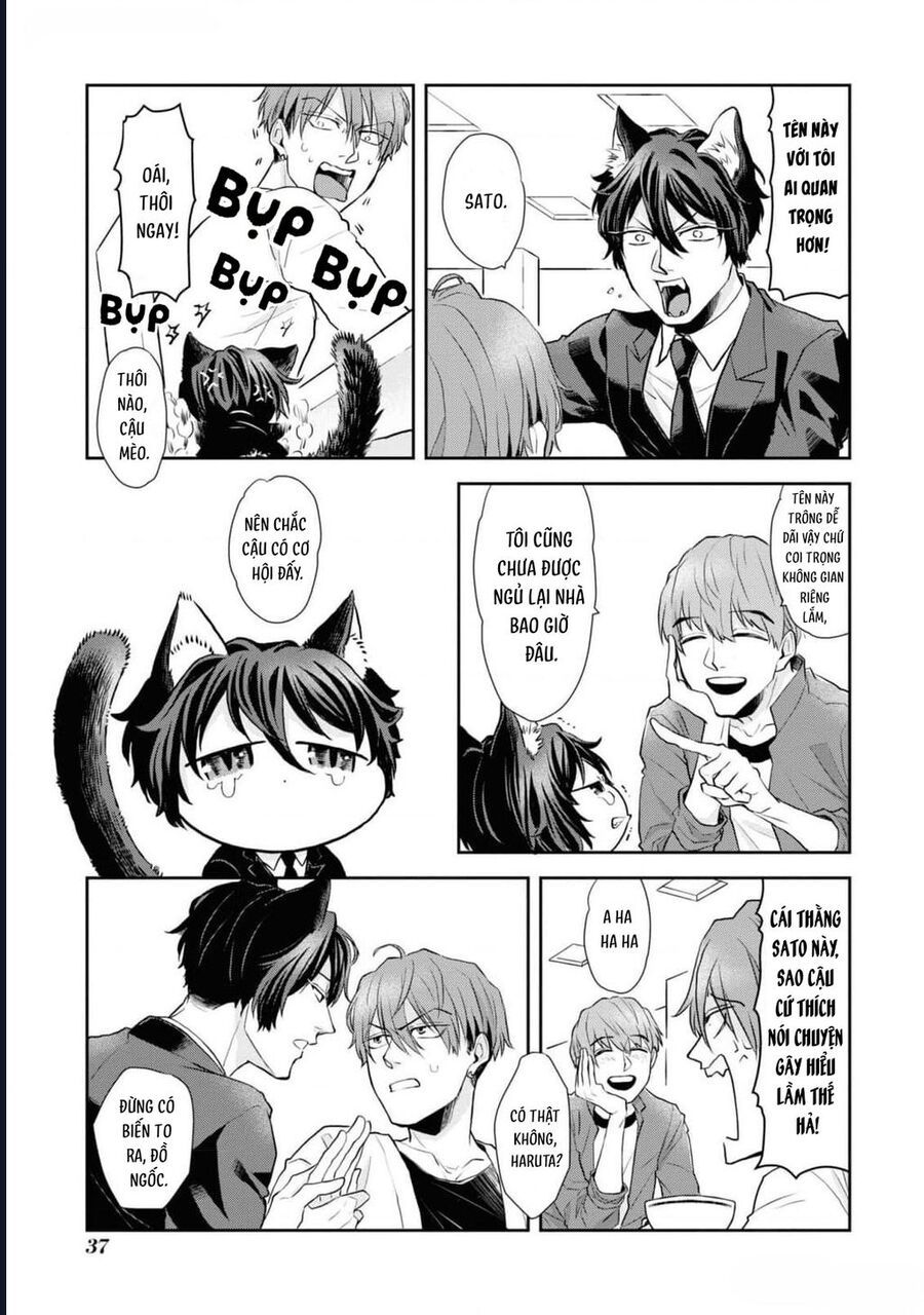Anh Mèo Đẹp Trai Muốn Được Bạn Bao Nuôi Chapter 2 - 17