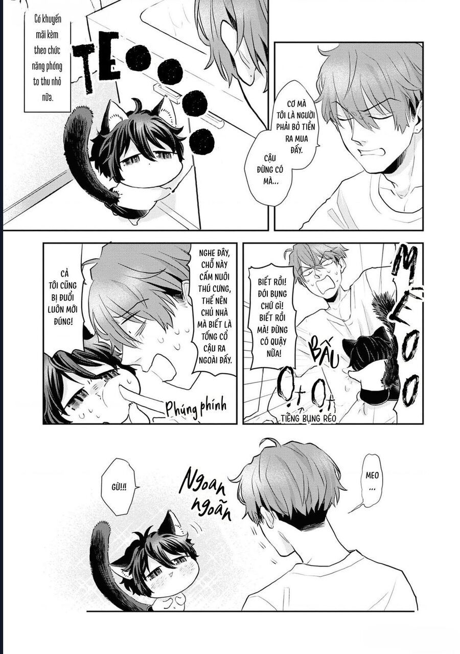 Anh Mèo Đẹp Trai Muốn Được Bạn Bao Nuôi Chapter 2 - 7