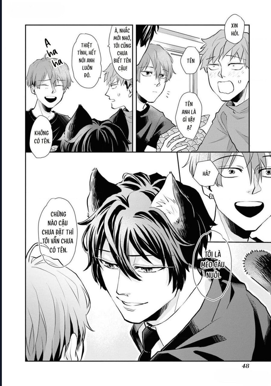 Anh Mèo Đẹp Trai Muốn Được Bạn Bao Nuôi Chapter 3 - 12