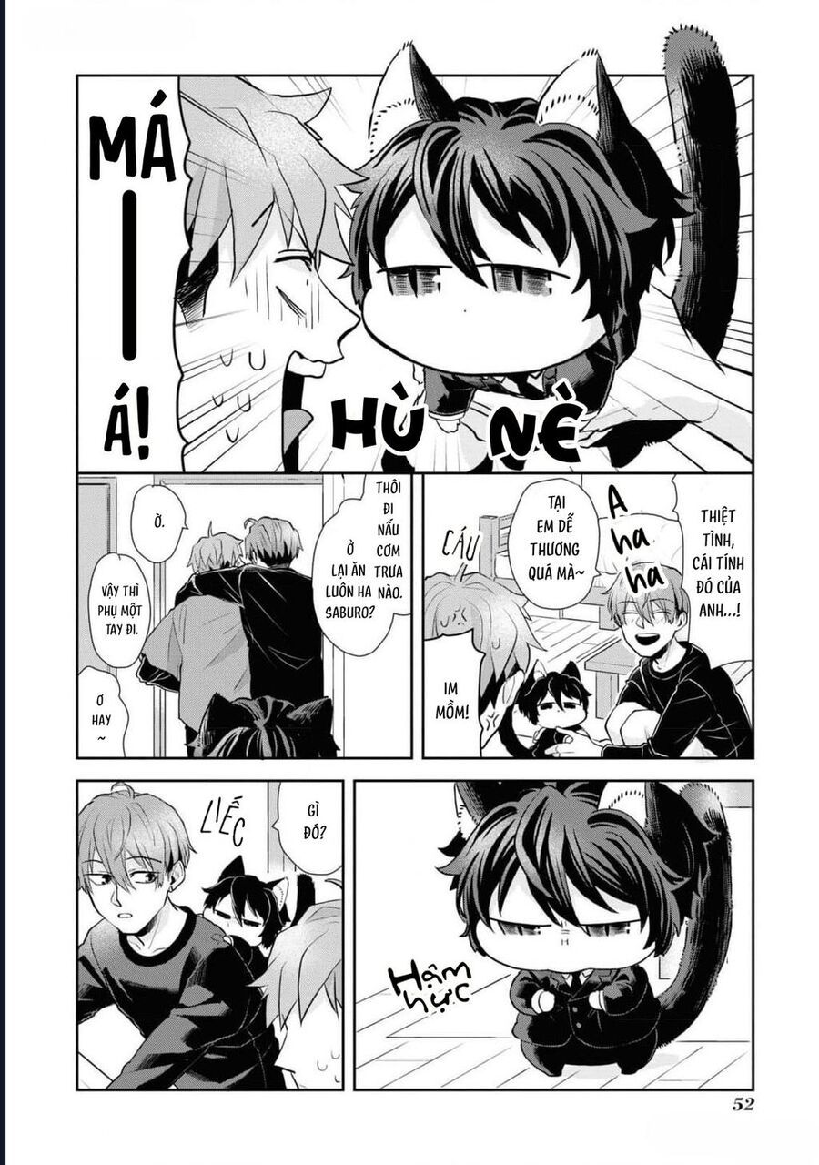 Anh Mèo Đẹp Trai Muốn Được Bạn Bao Nuôi Chapter 3 - 16