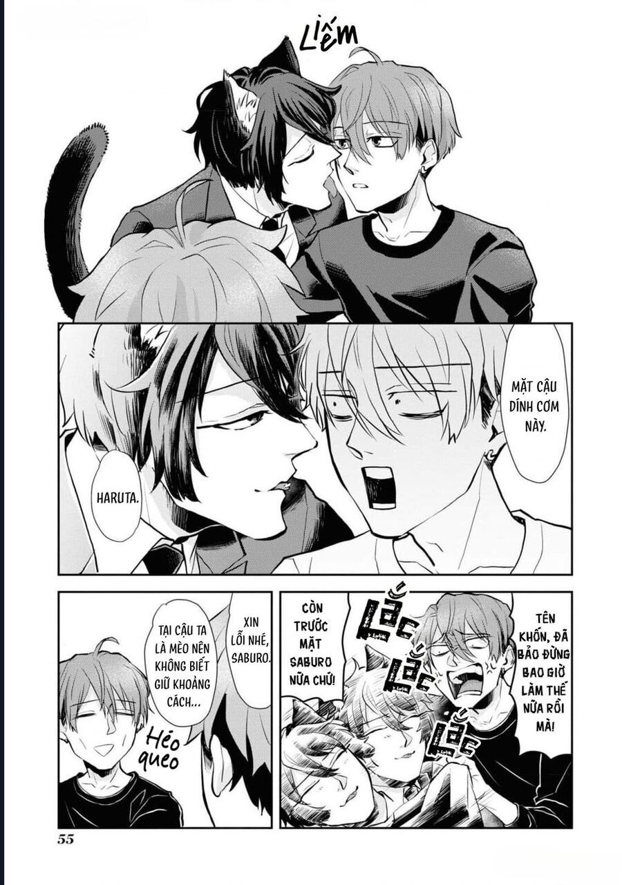 Anh Mèo Đẹp Trai Muốn Được Bạn Bao Nuôi Chapter 3 - 19