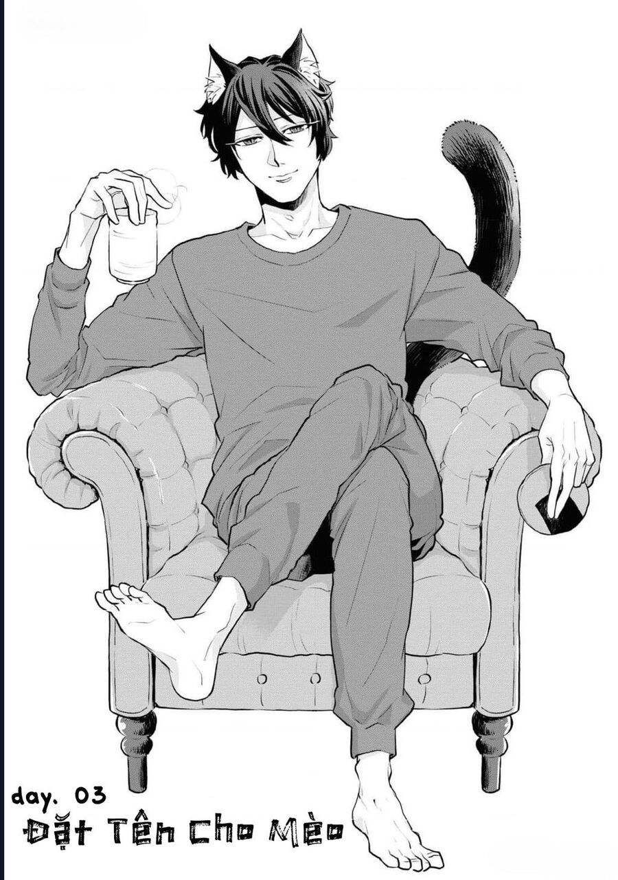 Anh Mèo Đẹp Trai Muốn Được Bạn Bao Nuôi Chapter 3 - 3