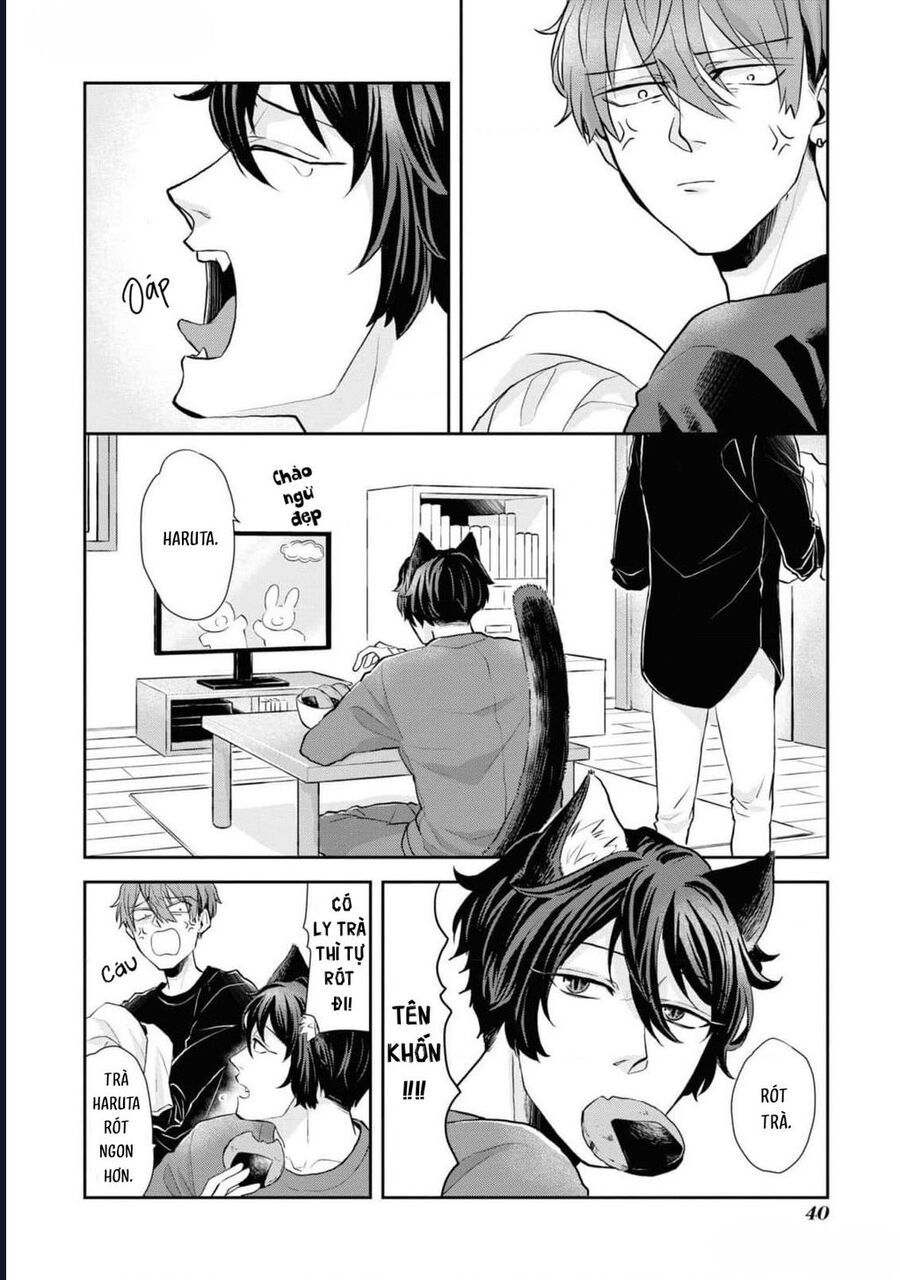 Anh Mèo Đẹp Trai Muốn Được Bạn Bao Nuôi Chapter 3 - 4