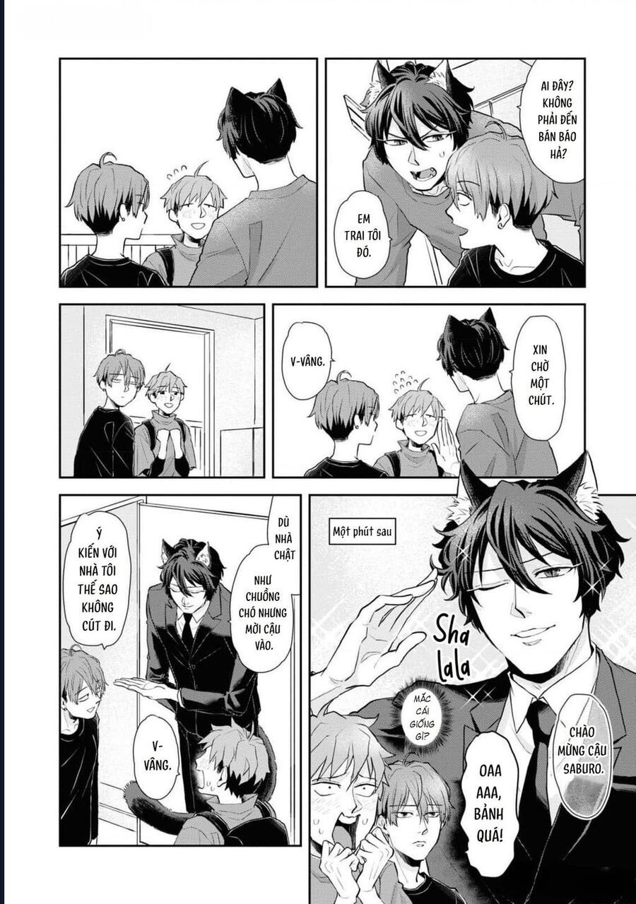 Anh Mèo Đẹp Trai Muốn Được Bạn Bao Nuôi Chapter 3 - 10
