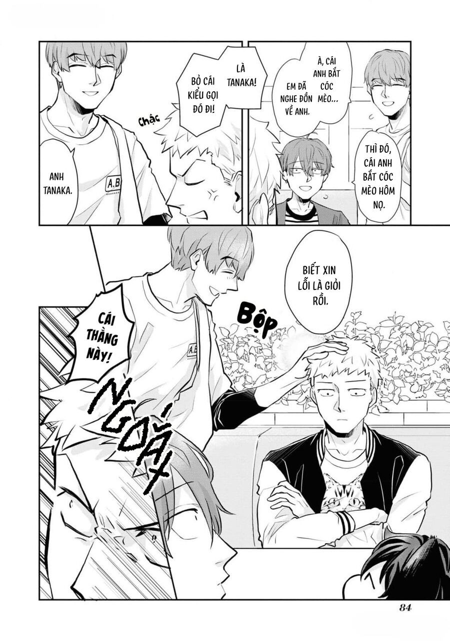 Anh Mèo Đẹp Trai Muốn Được Bạn Bao Nuôi Chapter 5 - 12