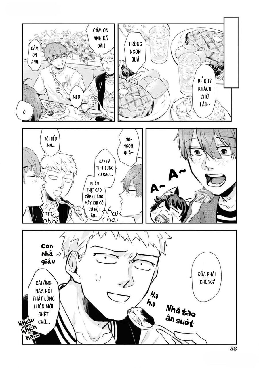 Anh Mèo Đẹp Trai Muốn Được Bạn Bao Nuôi Chapter 5 - 16