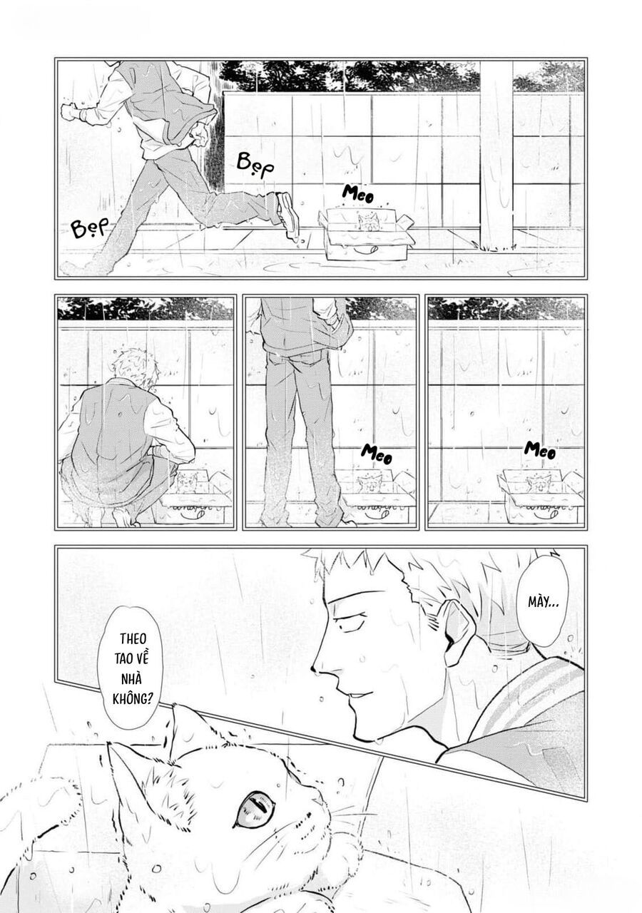 Anh Mèo Đẹp Trai Muốn Được Bạn Bao Nuôi Chapter 5 - 18
