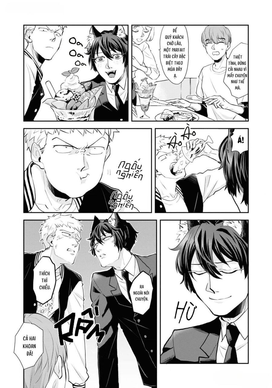 Anh Mèo Đẹp Trai Muốn Được Bạn Bao Nuôi Chapter 5 - 21