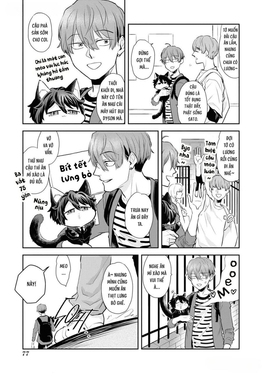 Anh Mèo Đẹp Trai Muốn Được Bạn Bao Nuôi Chapter 5 - 5