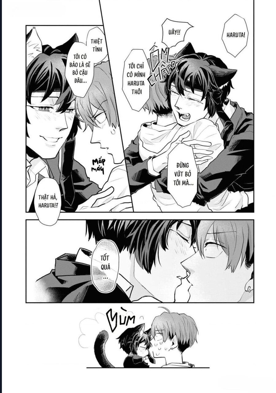 Anh Mèo Đẹp Trai Muốn Được Bạn Bao Nuôi Chapter 8 - 15