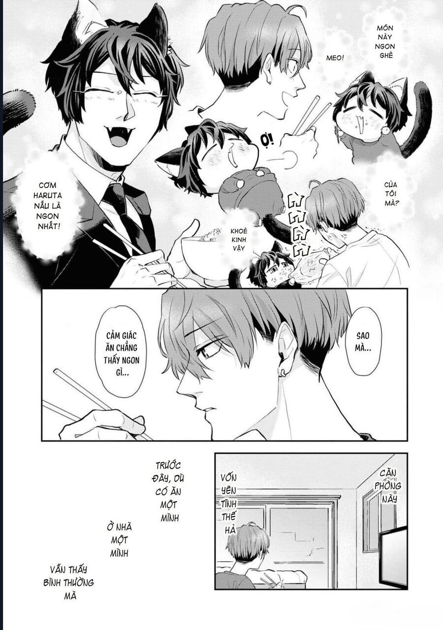 Anh Mèo Đẹp Trai Muốn Được Bạn Bao Nuôi Chapter 8 - 5