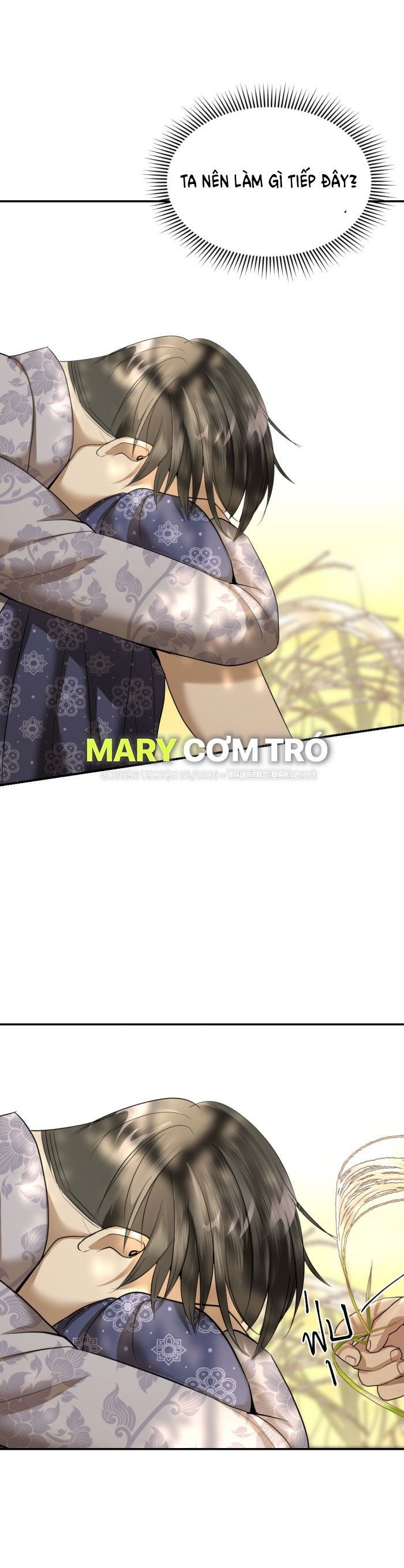 Tôi Là Công Tử Đẹp Trai Nhất Xứ Xiêm Chapter 17.2 - 29