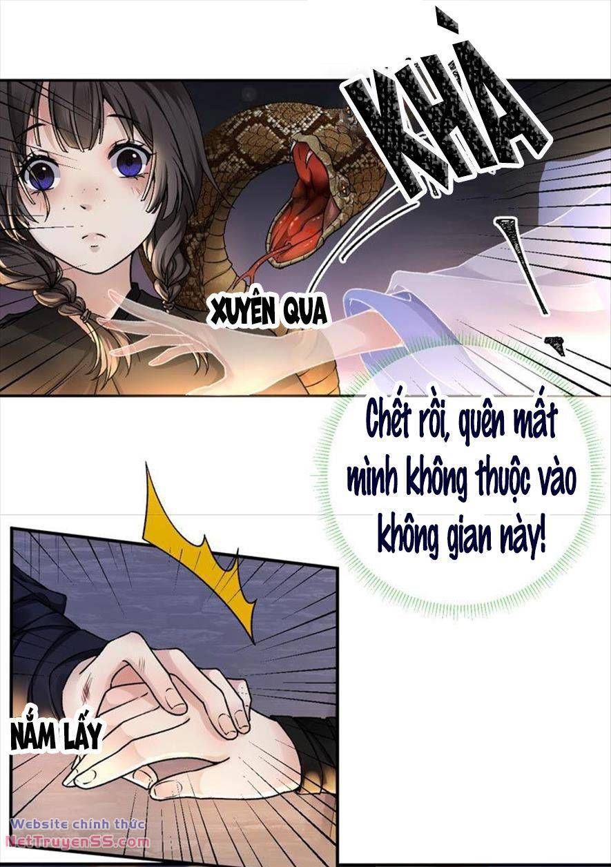 Xuyên Về Cổ Đại Làm Nữ Phụ Vô Dụng Chapter 31 - 10