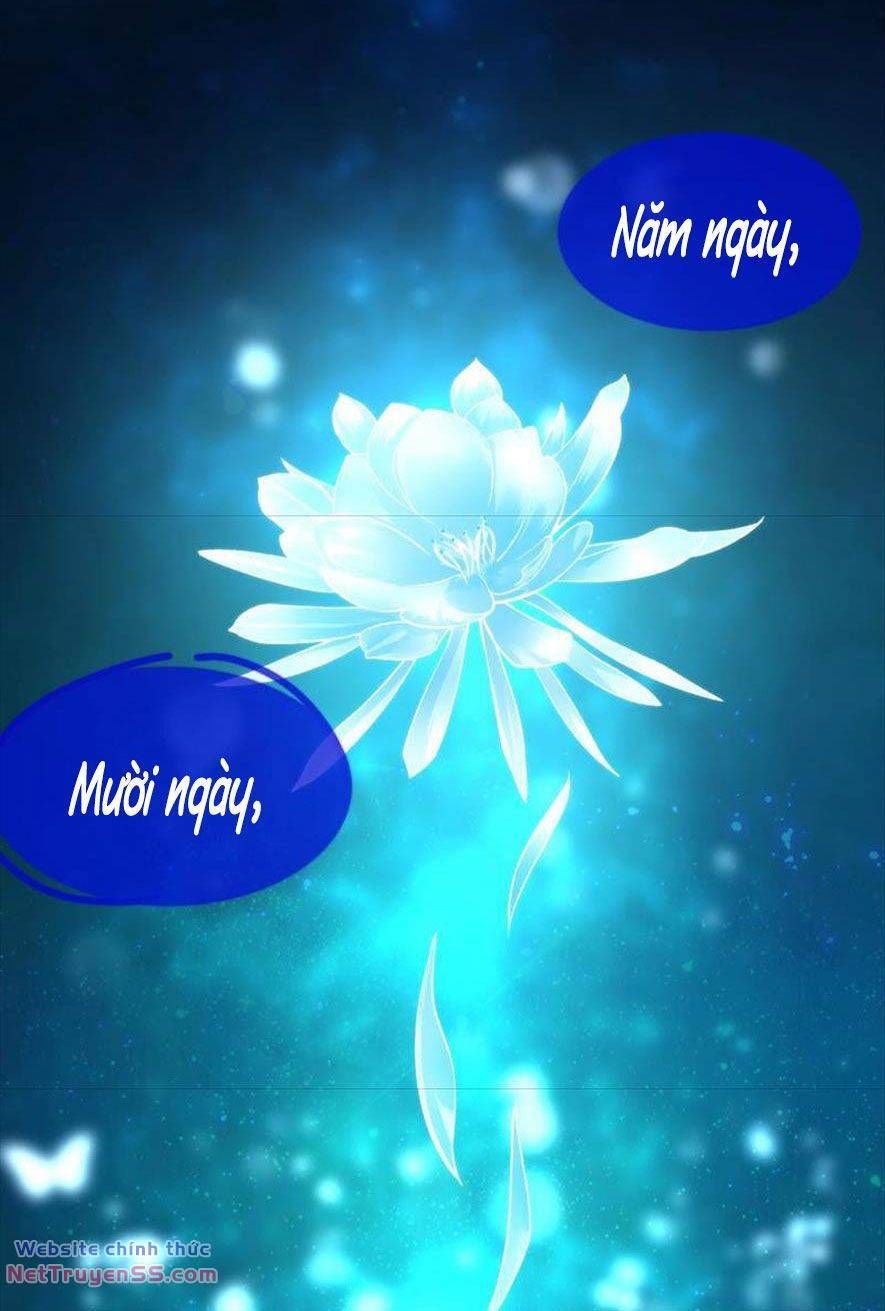 Xuyên Về Cổ Đại Làm Nữ Phụ Vô Dụng Chapter 32 - 15