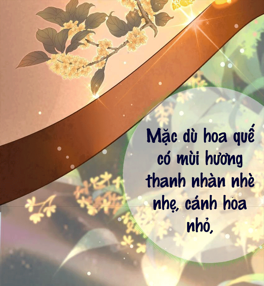 Xuyên Về Cổ Đại Làm Nữ Phụ Vô Dụng Chapter 43 - 37