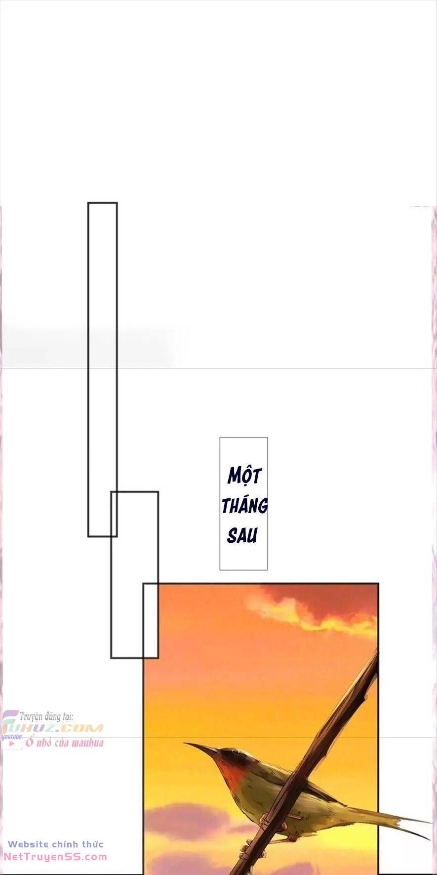 Xuyên Về Cổ Đại Làm Nữ Phụ Vô Dụng Chapter 59 - 22