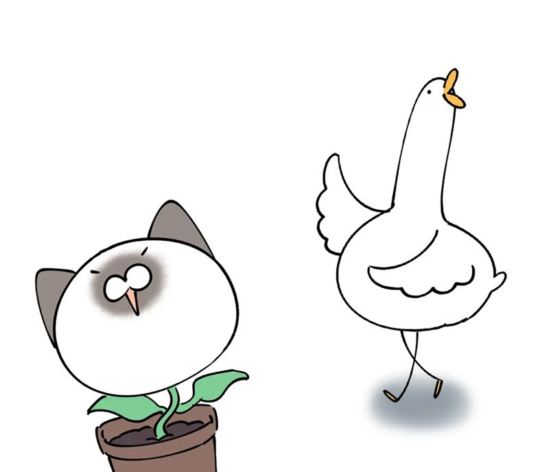 Kết Hôn Chuyện Nhỏ Này Chapter 50 - 71