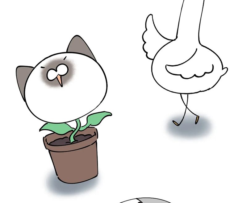 Kết Hôn Chuyện Nhỏ Này Chapter 51 - 81