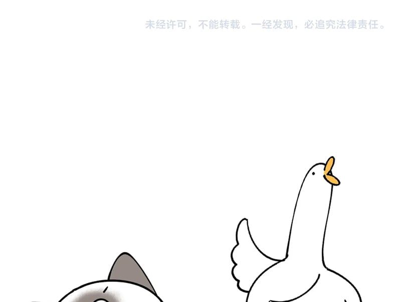 Kết Hôn Chuyện Nhỏ Này Chapter 66 - 71