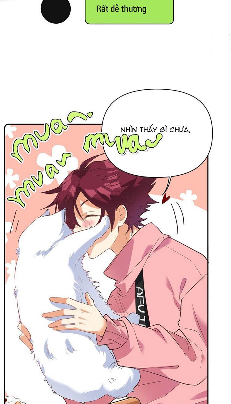 Tình Yêu Trên Mạng Của Giáo Bá Lật Xe Rồi Chapter 27 - 14