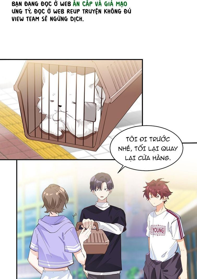 Tình Yêu Trên Mạng Của Giáo Bá Lật Xe Rồi Chapter 5 - 12