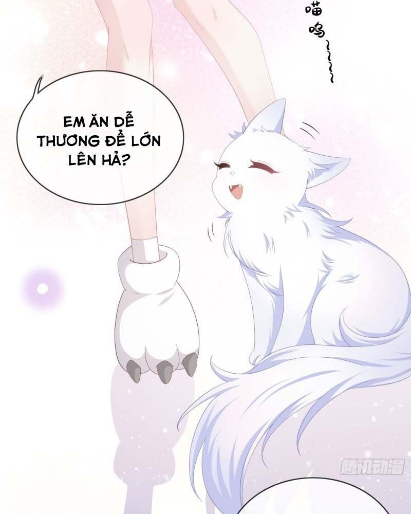 Ảnh Hậu Cũng Không Bằng Niệm Thanh Hoa Chapter 25 - 5