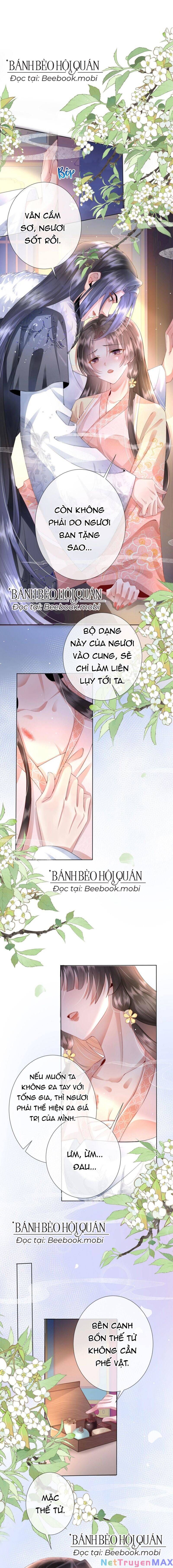 Sau Khi Hắc Hóa, Thế Tử Diễn Sâu Điên Cuồng Đòi Dính Lấy Ta Chapter 4 - 17