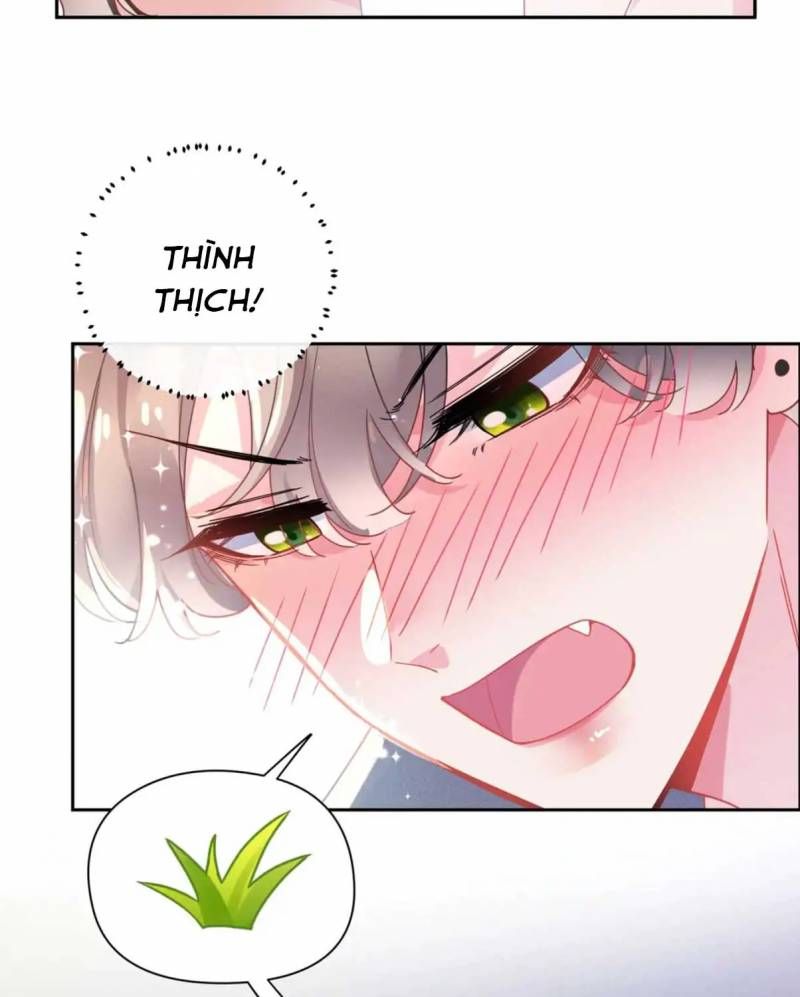 Có Bản Lĩnh Thì Cứ Hung Dữ Đi? Chapter 110 - 61