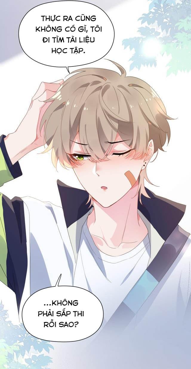 Có Bản Lĩnh Thì Cứ Hung Dữ Đi? Chapter 22 - 28