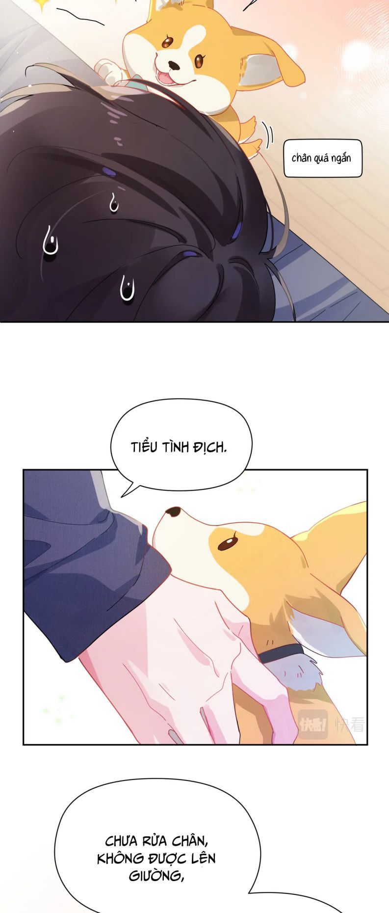 Có Bản Lĩnh Thì Cứ Hung Dữ Đi? Chapter 84 - 13