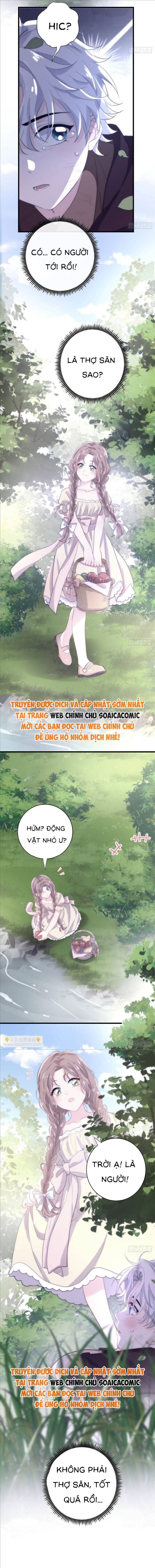 Xuyên Đến Dị Giới Toàn Trai Đẹp Chapter 18 - 4