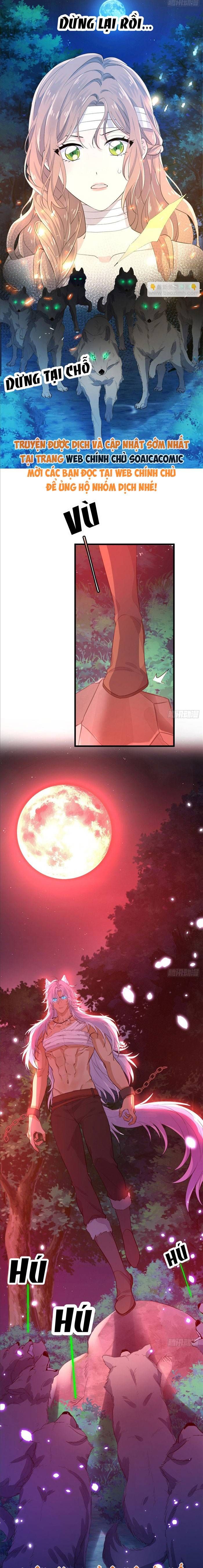 Xuyên Đến Dị Giới Toàn Trai Đẹp Chapter 19 - 8