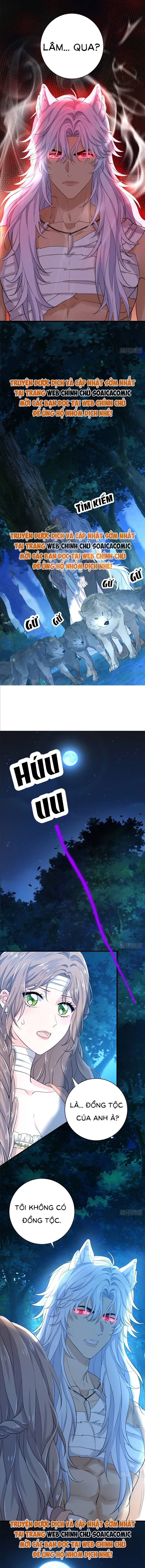 Xuyên Đến Dị Giới Toàn Trai Đẹp Chapter 21 - 2
